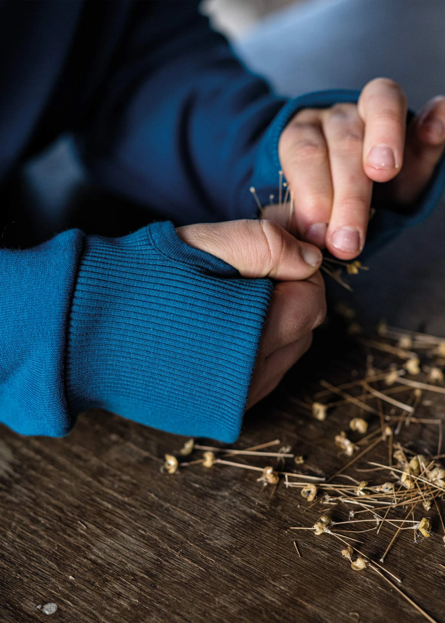 Hoodie CLASSIC CorsairBlue 12 Hoodie CLASSIC CorsairBlue – Bild 12