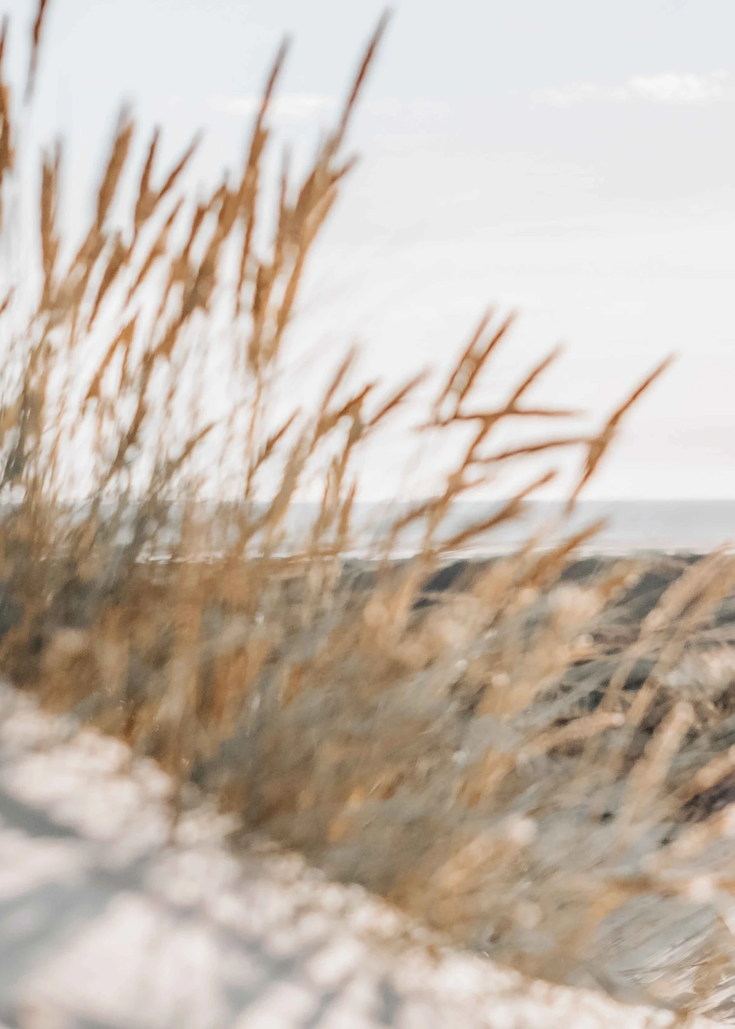 Hoodie CLASSIC CorsairBlue 7 Hoodie CLASSIC CorsairBlue – Bild 7